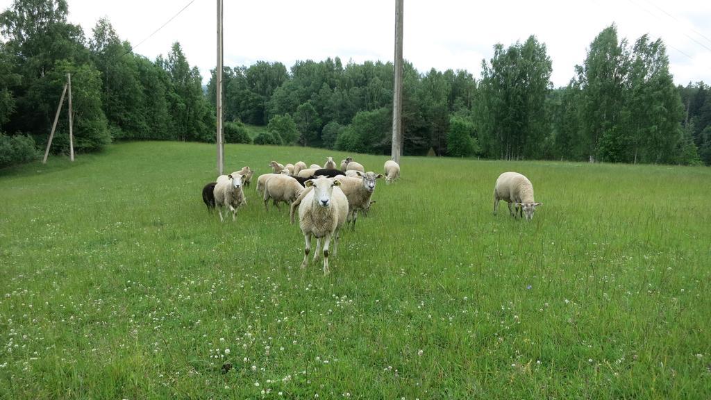Maee Farm Rõuge Exterior foto